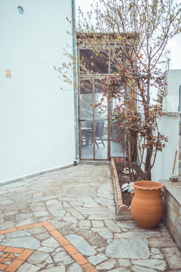 Violetta'S House Παραδοσιακή Βίλα Στην Πορταριά מראה חיצוני תמונה